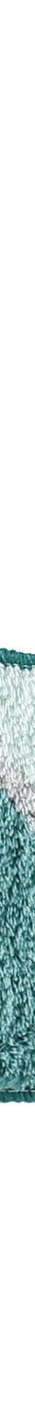 Tapis de bain motif végétal (lagon) Tapis de bain motif végétal (lagon)
